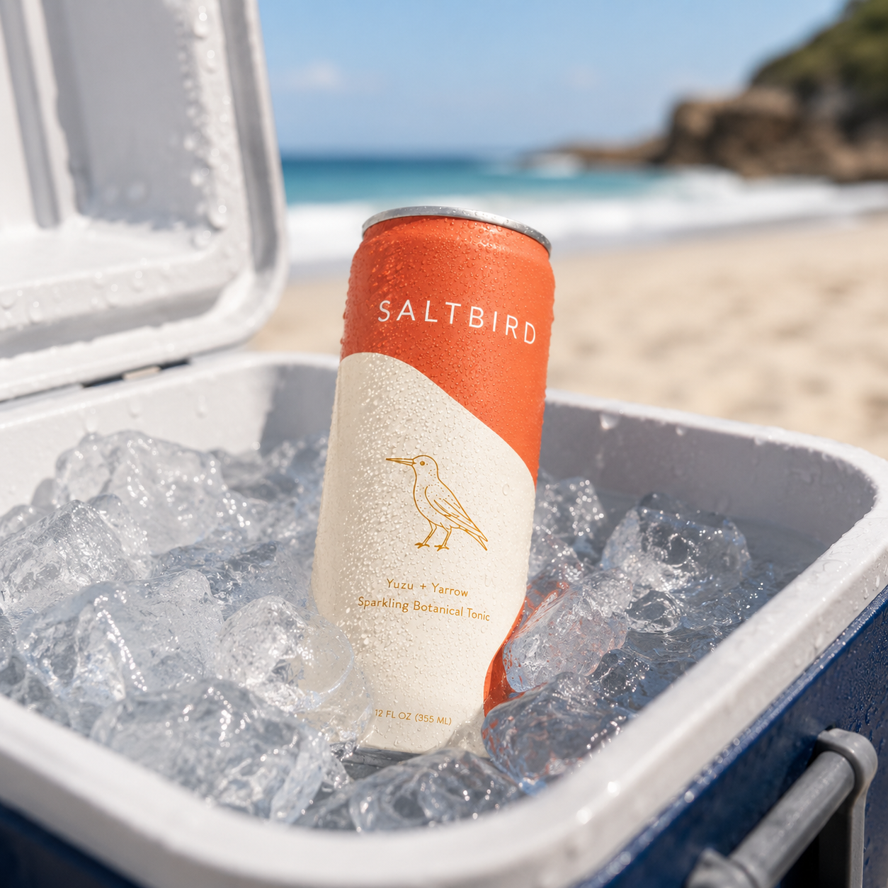 Saltbird in a beach cooler